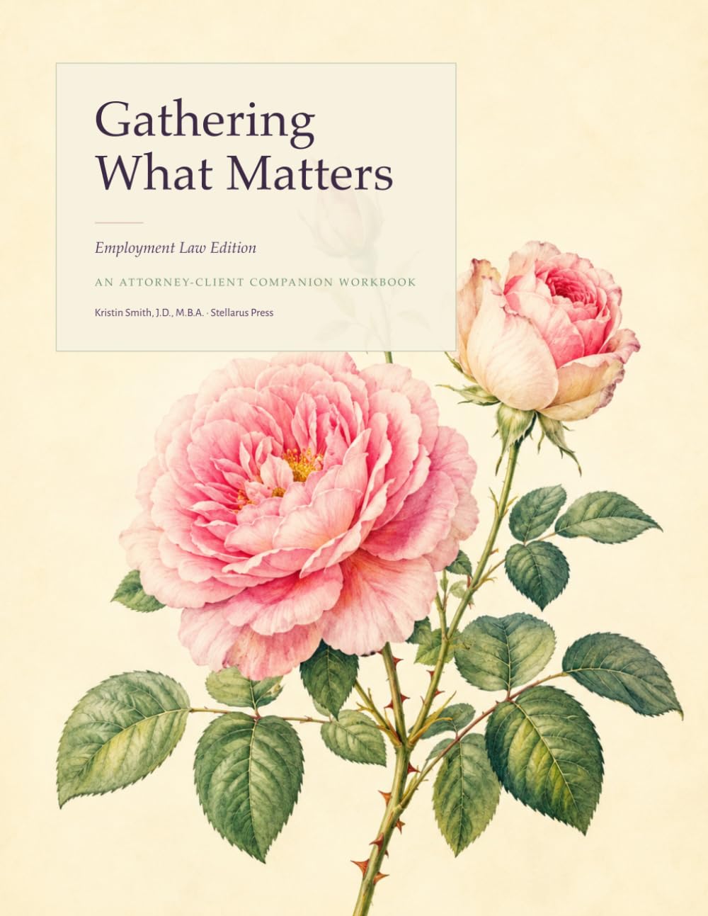 capítulo por capítulo baixar Gathering What Matters: An Attorney-Client Companion Workbook (Employment Law Edition)