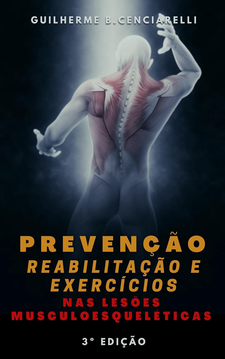 Prevenção, Reabilitação e Exercícios nas Lesões Musculoesqueléticas baixar livro de graça