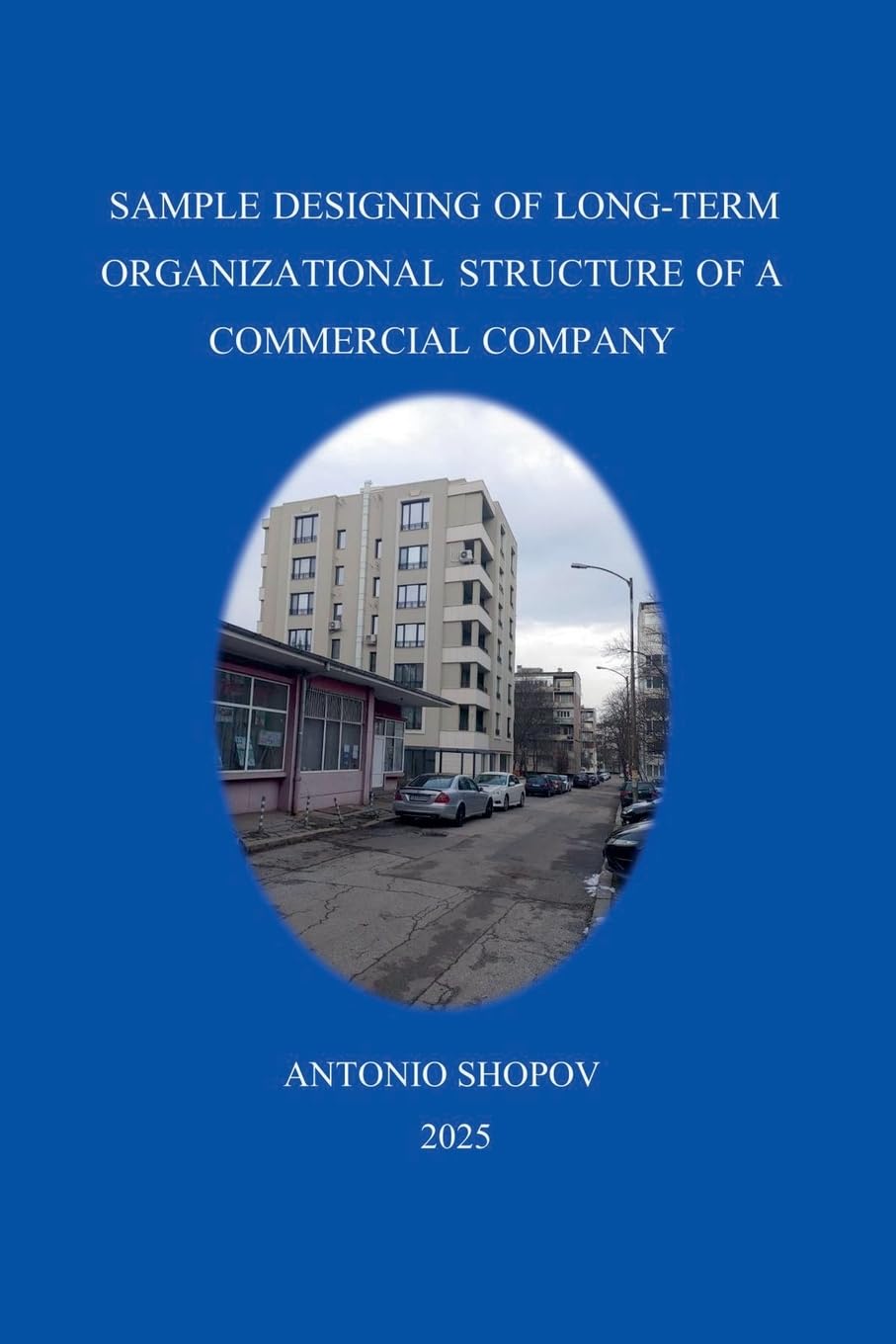 ler totalmente Sample Designing of Long-Term Organizational Structure of a Commercial Company: 2