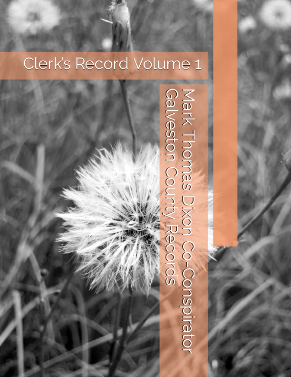 Mark Thomas Dixon Co-Conspirator Galveston County Records: Clerk’s Record Volume 1 (Barbara Holder Trial Records) baixar o livro de graça