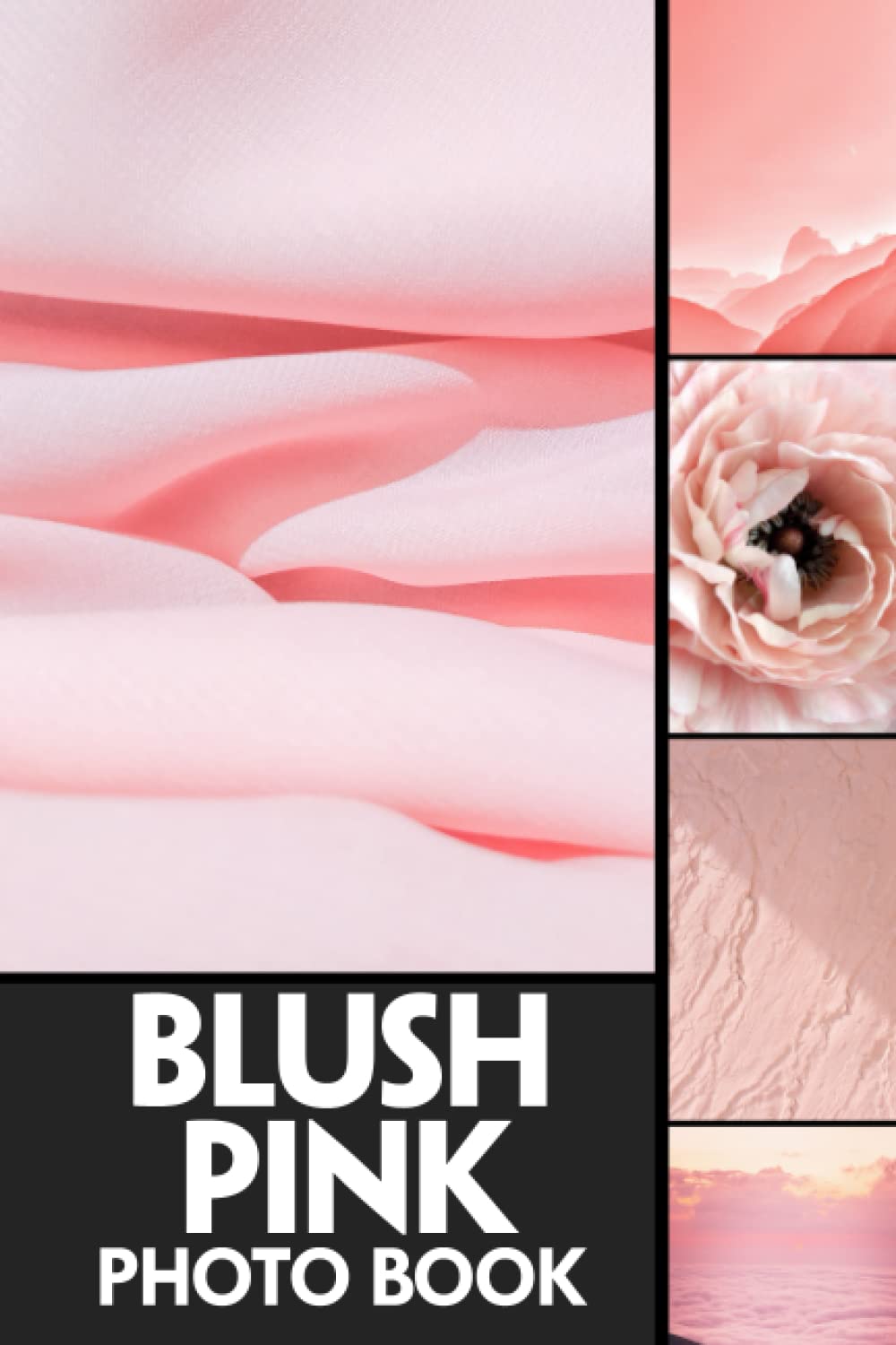 Blush Pink Photo Book: High-quality Photograph Album For All Ages To Unleash The Creativity Energy baixar o livro de graça