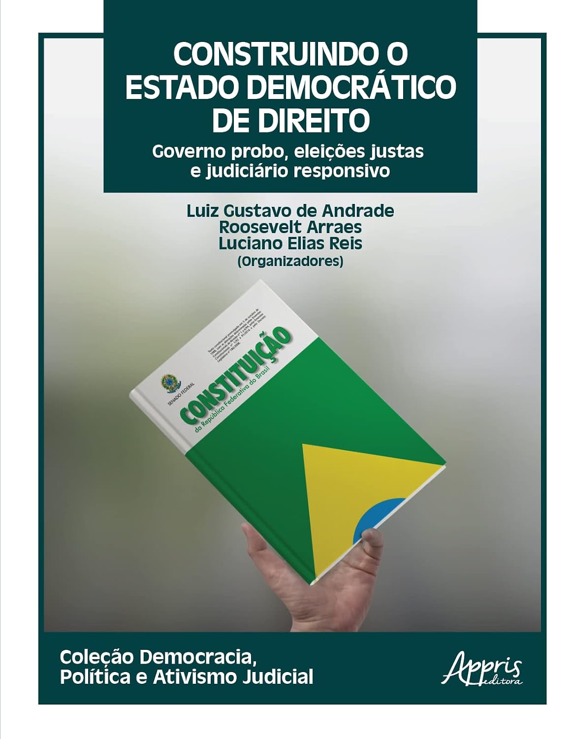 Construindo o Estado Democrático de Direito: Governo Probo, Eleições Justas e Judiciário Responsivo baixar o livro de graça