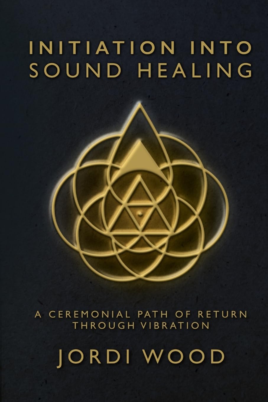 ler totalmente Initiation Into Sound Healing: A Ceremonial Path of Return through Vibration