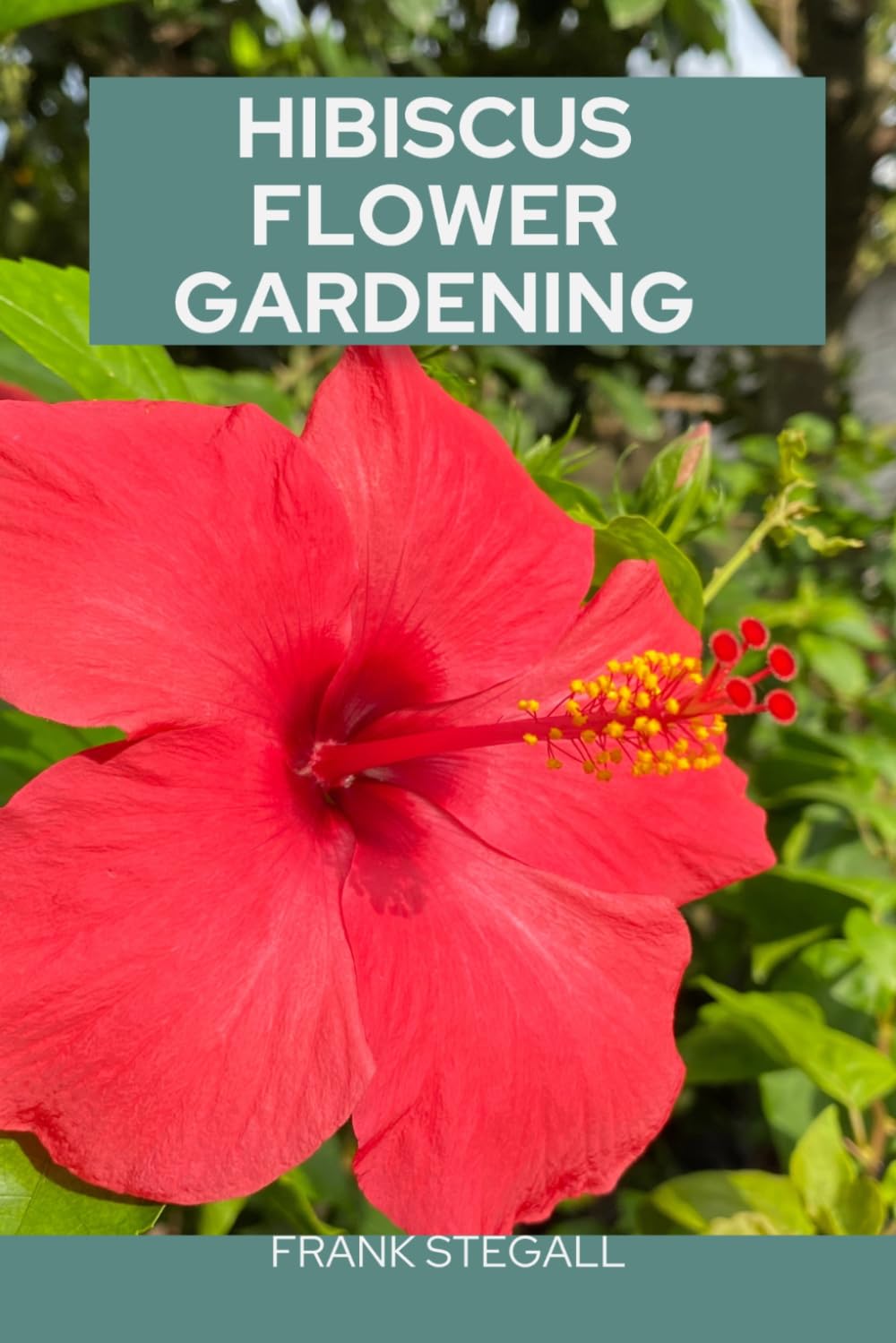 HIBISCUS FLOWER GARDENING: STEP BY STEP BEGINNERS GUIDE TO GROWING, CARING AND HARVESTING baixar o livro de graça
