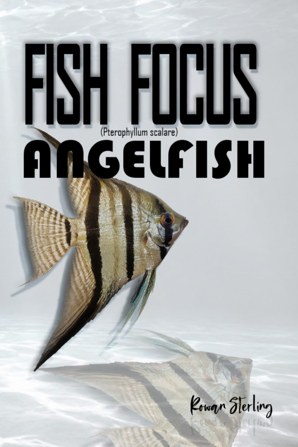 Fish Focus: Angelfish (Pterophyllum scalare): Behaviour, Care, and Natural Habitat Guide baixar livro de graça