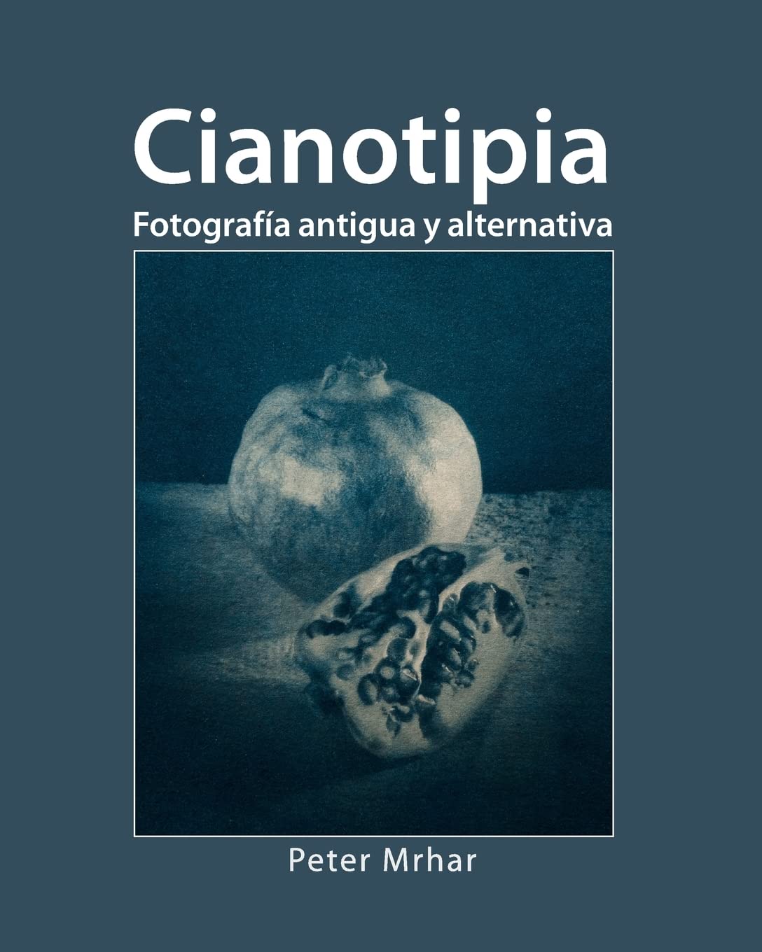 ler totalmente Cianotipia: Fotografía antigua y alternativa