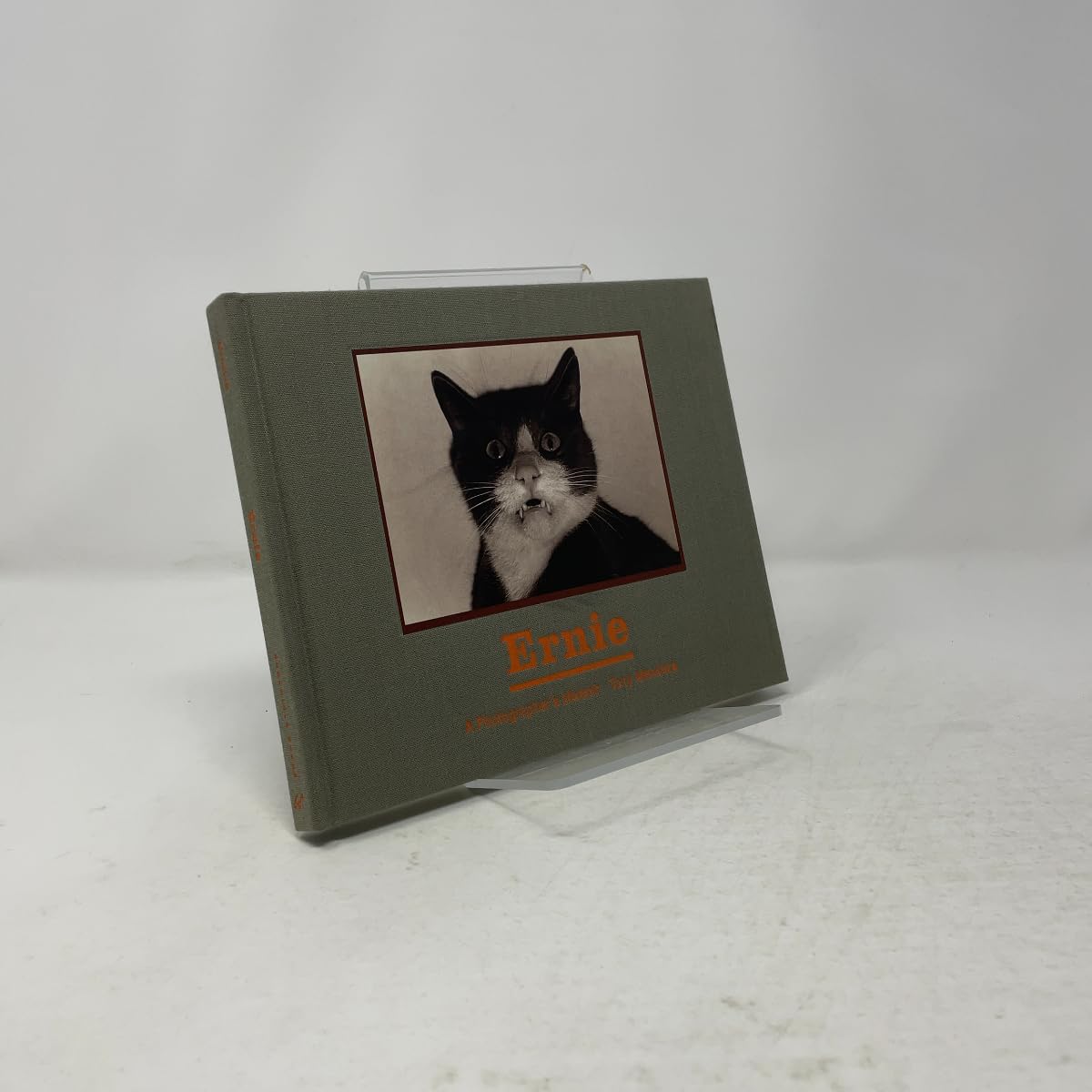 Ernie: A Photographer's Memoir baixar o livro de graça