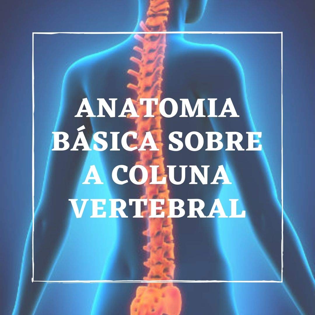 capítulo por capítulo baixar Anatomia Básica sobre a coluna vertebral