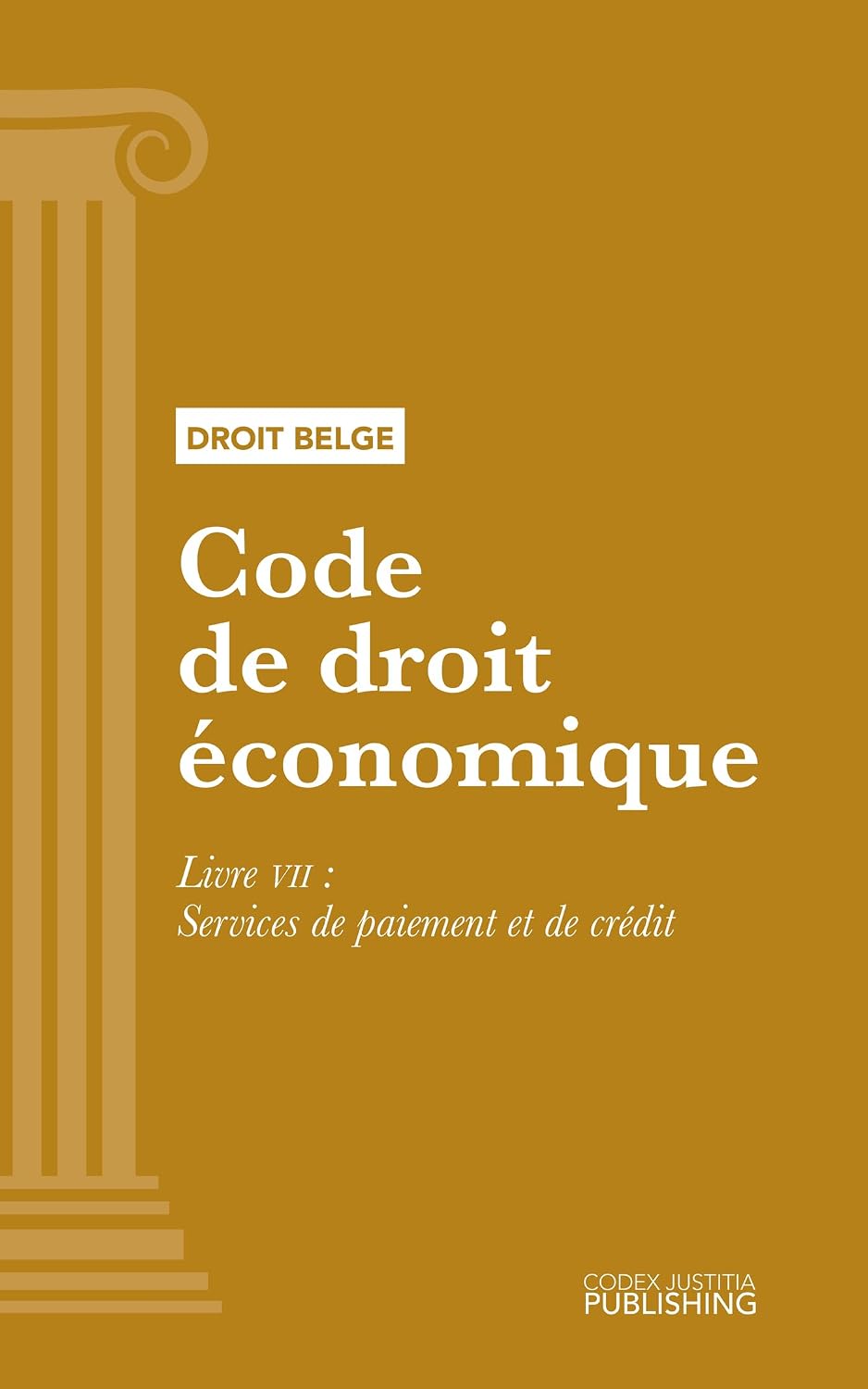 Code de droit économique: Livre VII - Services de paiement et de crédit (French Edition) baixar livro de graça