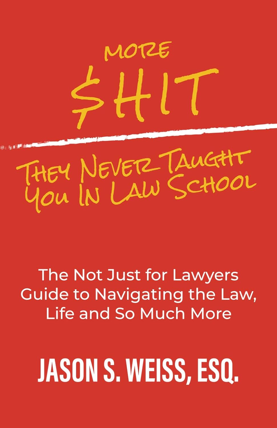 More $hit They Never Taught You in Law School: The Not Just for Lawyers Guide to Navigating the Law, Life and So Much More baixar o livro de graça