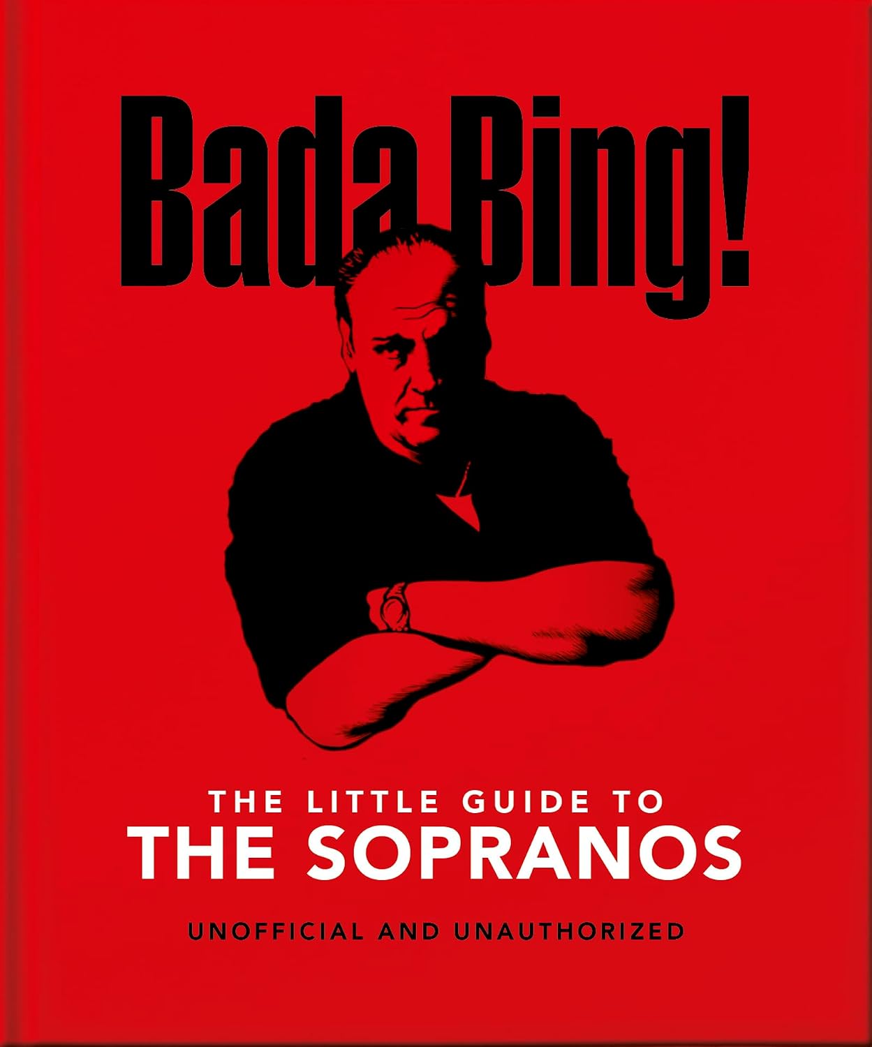 Bada Bing!: The Little Guide to the Sopranos: The Only Ones You Can Depend on: 13 baixar livro de graça