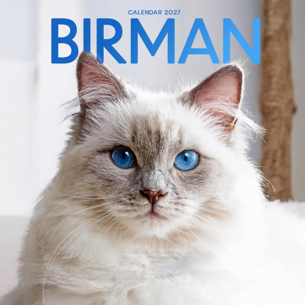 Birman Cat Calendar 2027: Cat Portraits and Breed Scenes baixar livro de graça