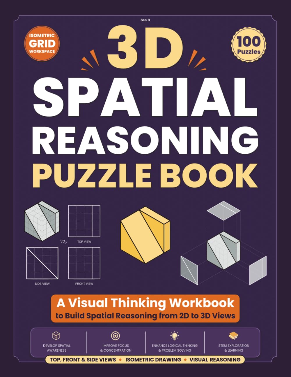 3D Spatial Reasoning Puzzle Book: A Visual Thinking Workbook to Build Spatial Reasoning from 2D to 3D Views baixar livro de graça
