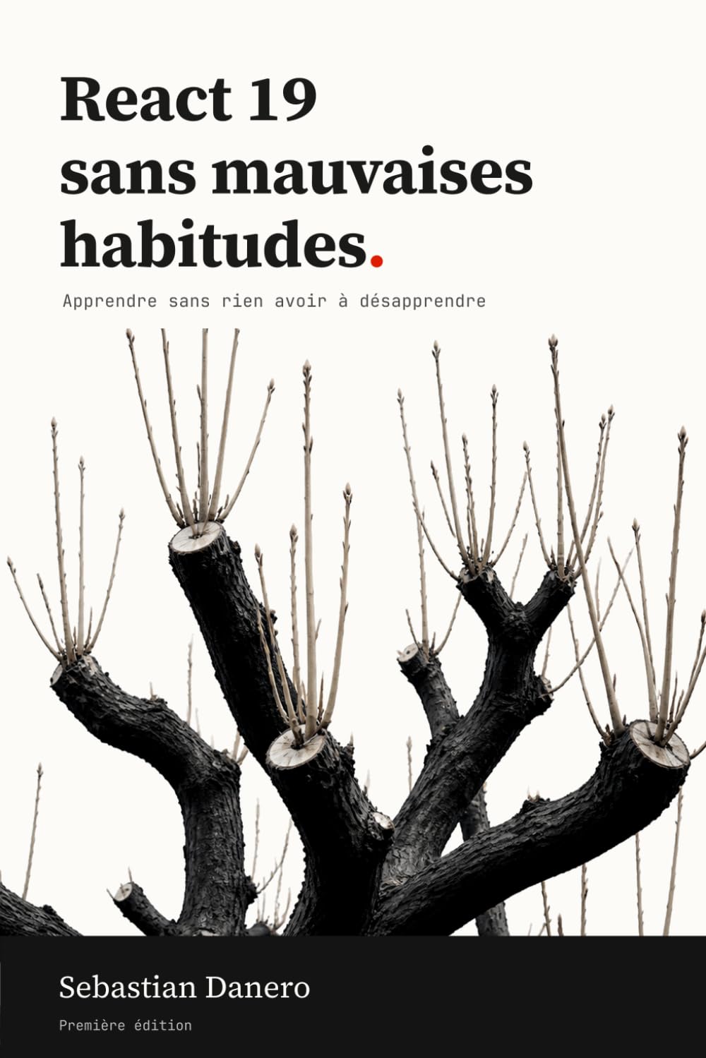 capítulo por capítulo baixar React 19 sans mauvaises habitudes: Apprendre sans rien avoir à désapprendre (French Edition)