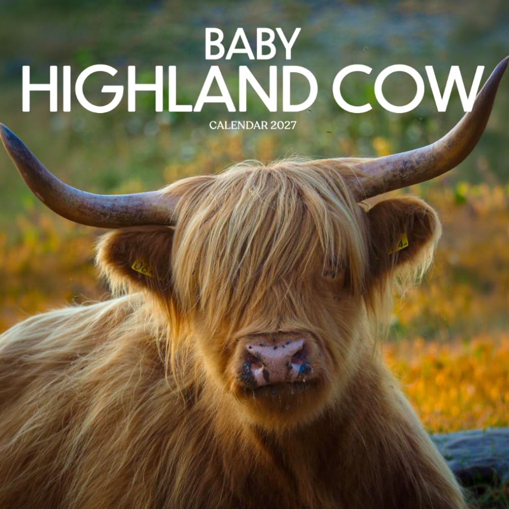 Baby Highland Cows Calendar 2027: Farm Animals and Pasture Scenes baixar o livro de graça