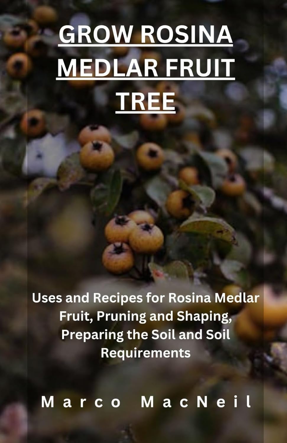 GROW ROSINA MEDLAR FRUIT TREE: Uses and Recipes for Rosina Medlar Fruit, Pruning and Shaping, Preparing the Soil and Soil Requirements baixar livro de graça