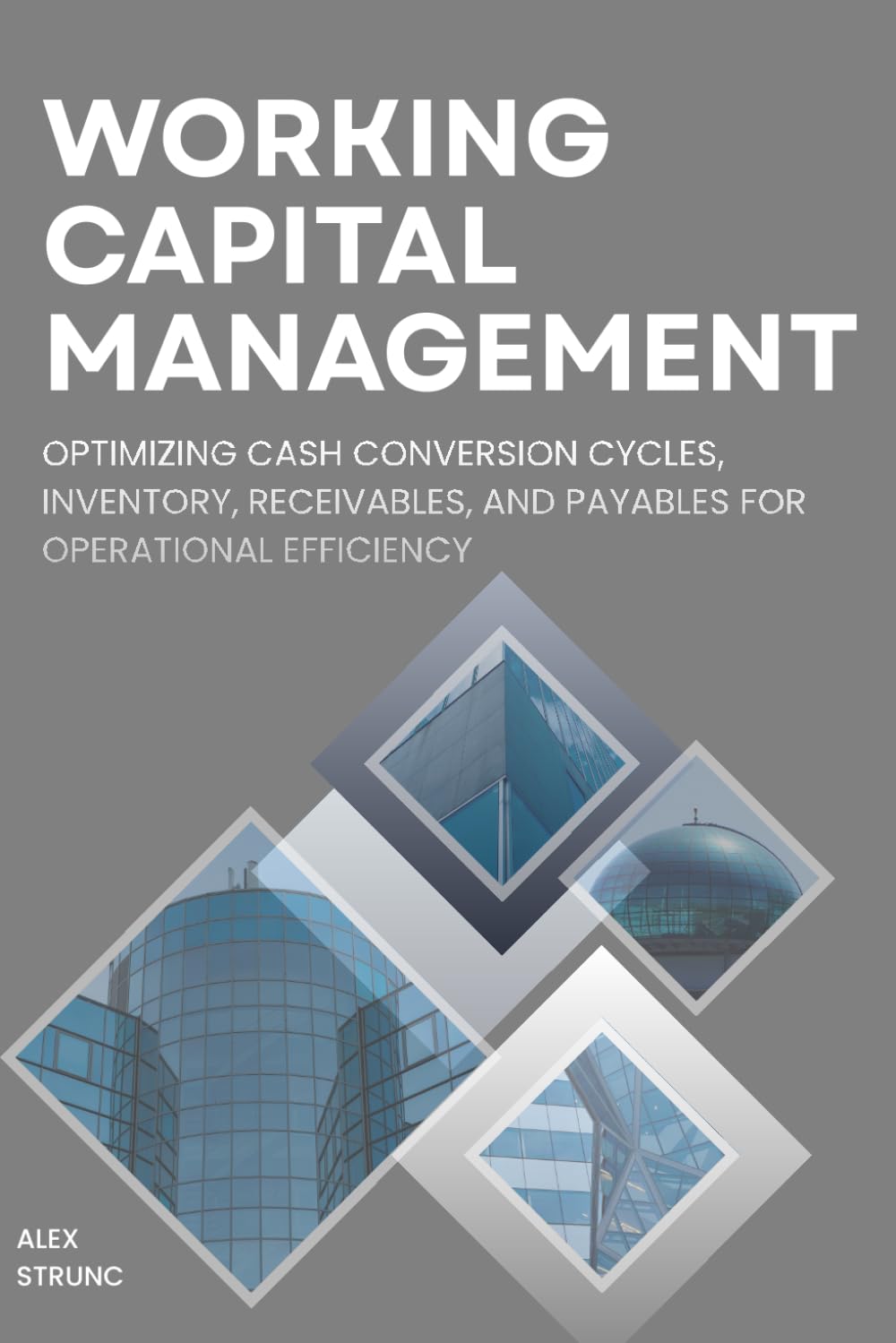 Working Capital Management: Optimizing Cash Conversion Cycles, Inventory, Receivables, and Payables for Operational Efficiency baixar livro de graça