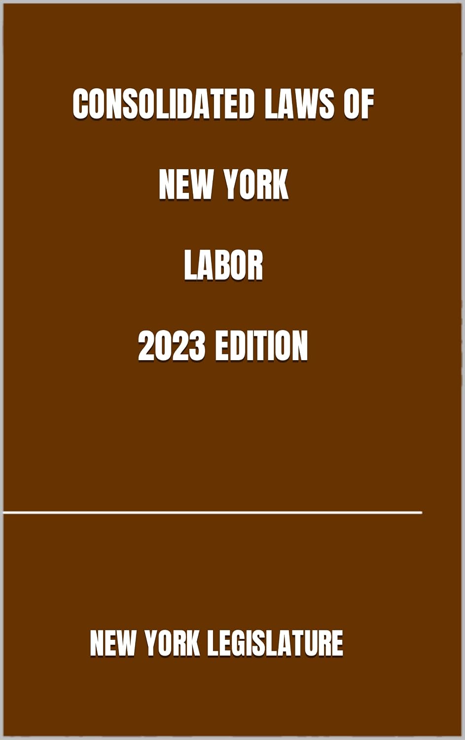CONSOLIDATED LAWS OF NEW YORK LABOR 2023 EDITION (English Edition) baixar o livro de graça