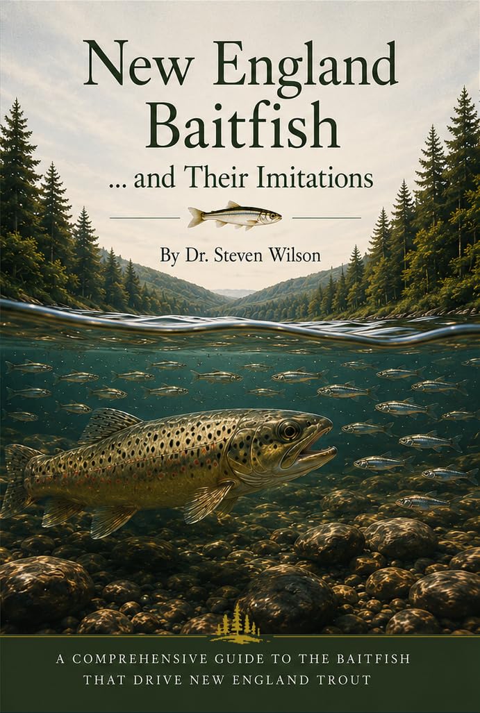 New England Baitfish... and Their Imitations (English Edition) baixar o livro de graça