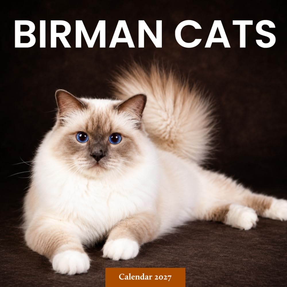 Birman Cats Calendar 2027: Cat Portraits and Everyday Scenes baixar o livro de graça