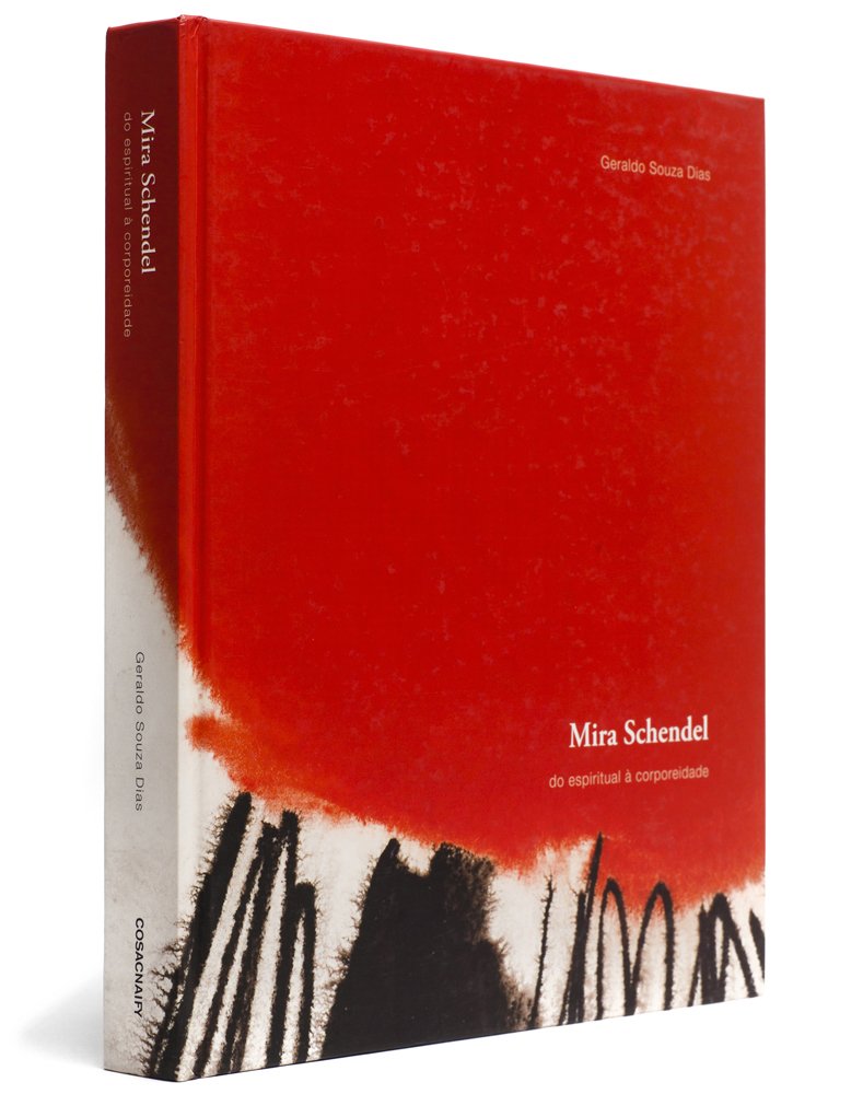 Mira Schendel. Do Espiritual A Corporeidade baixar o livro de graça