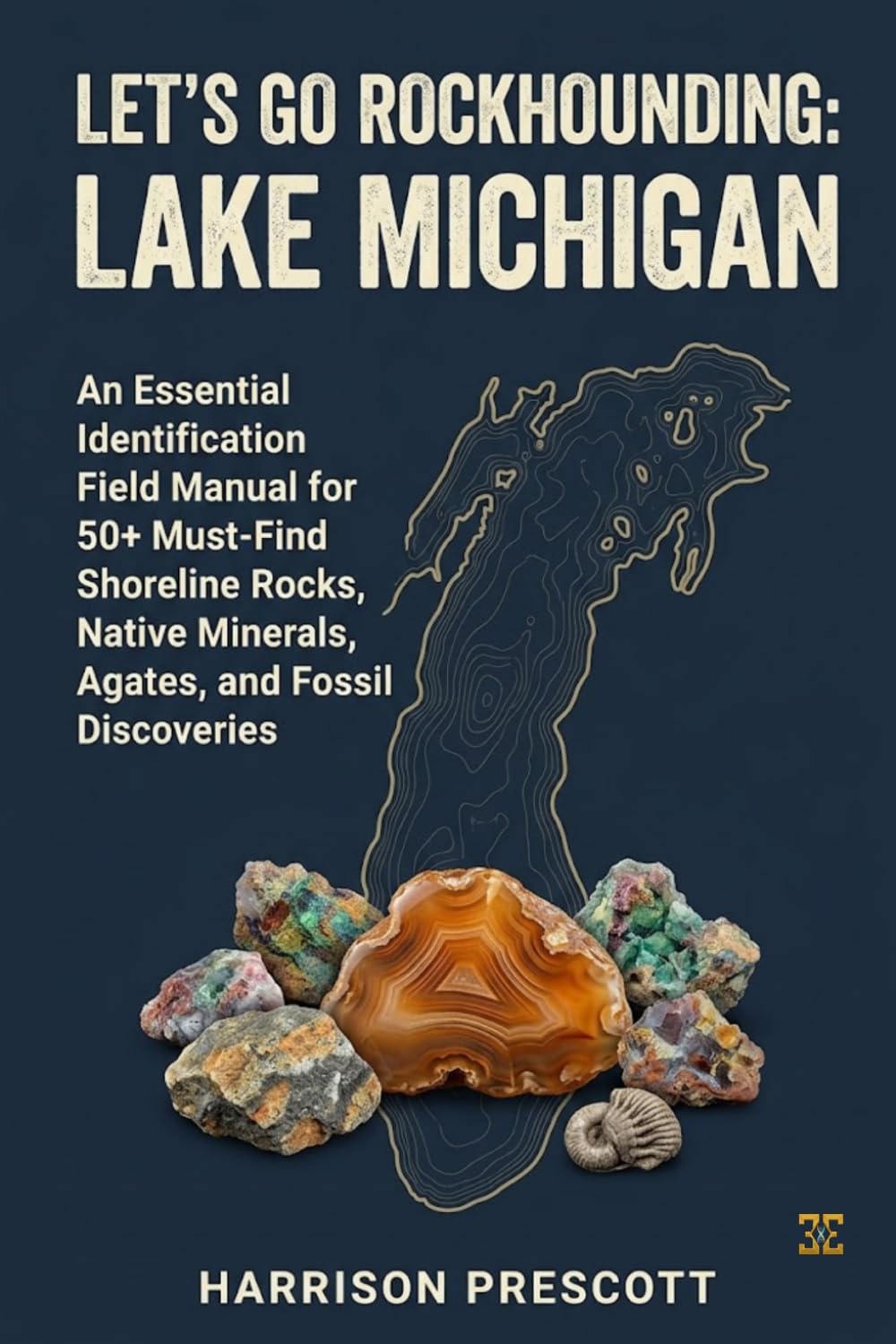 LET'S GO ROCKHOUNDING: LAKE MICHIGAN: An Essential Identification Field Manual for 50+ Must-Find Shoreline Rocks, Native Minerals, Agates, and Fossil Discoveries baixar o livro de graça