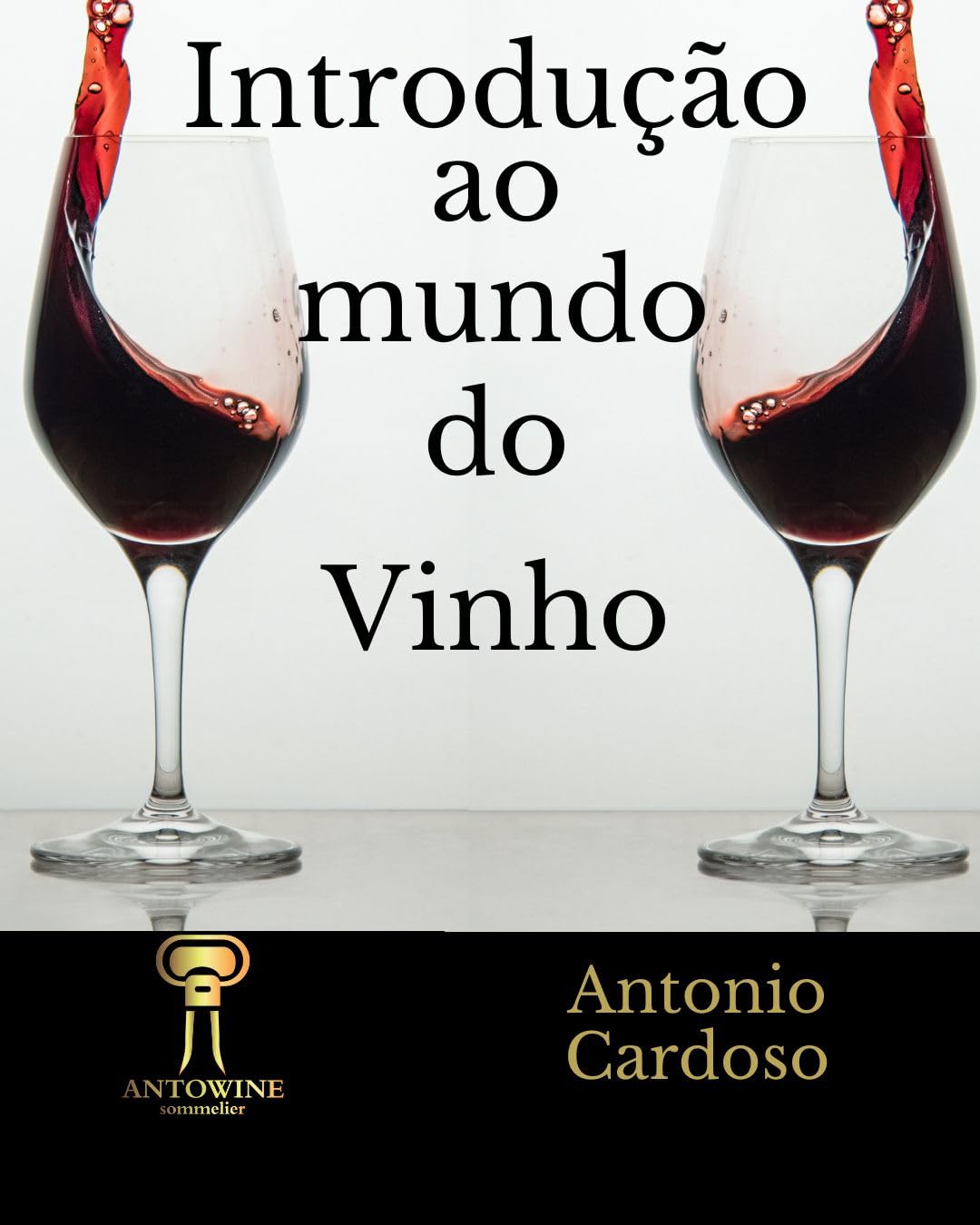 Introdução ao Mundo do Vinho
