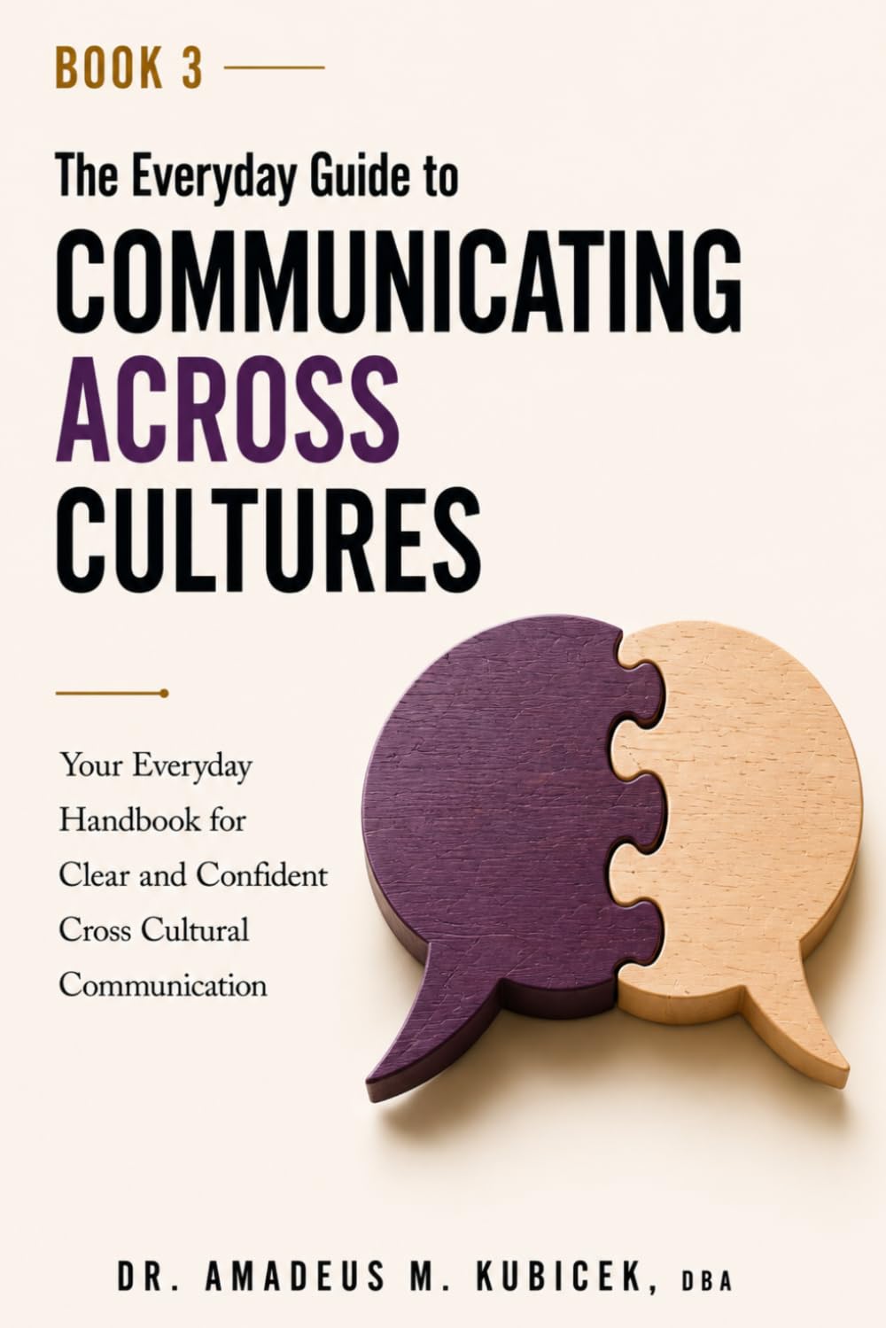The Everyday Guide to Communicating Across Cultures: Your Everyday Handbook for Clear and Confident Cross Cultural Communication: 3 baixar livro de graça