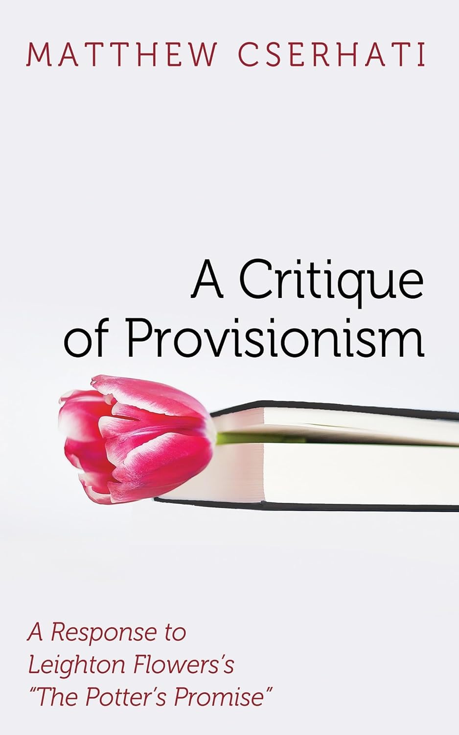 ler totalmente A Critique of Provisionism: A Response to Leighton Flowers's "The Potter's Promise"
