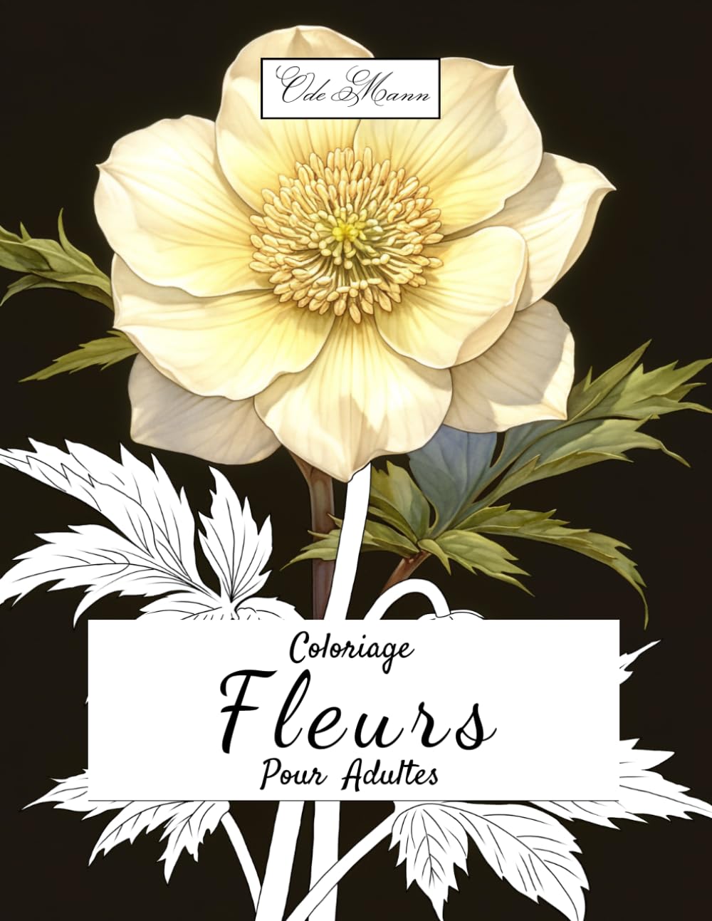 capítulo por capítulo baixar Coloriage Fleurs Pour Adultes: Illustrations végétales à colorier: cactus, feuillages exotiques, plantes grasses et détails floraux