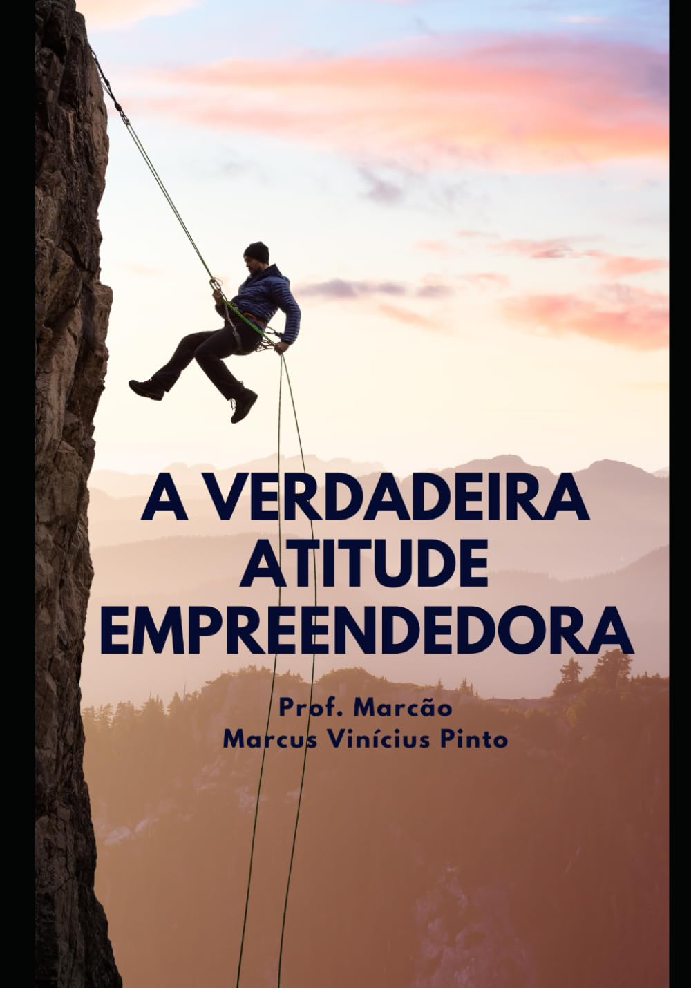 capítulo por capítulo baixar A verdadeira atitude empreendedora: 14