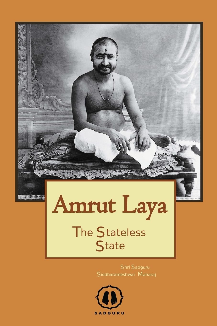 Amrut Laya - International Edition: The Stateless State baixar o livro de graça