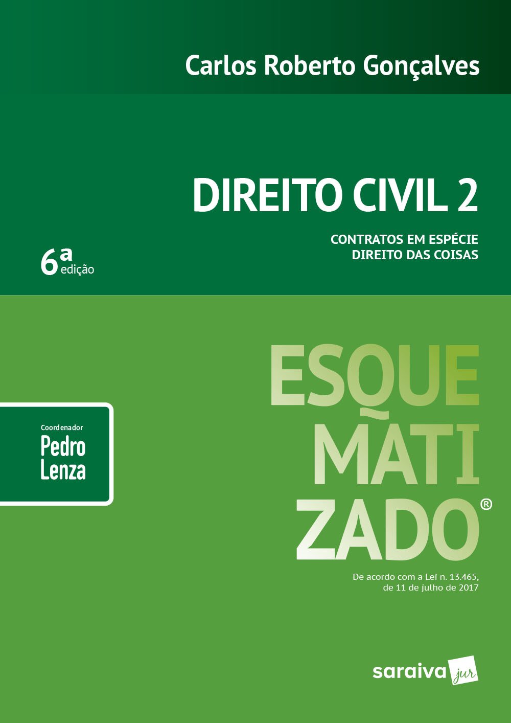 capítulo por capítulo baixar Direito Civil Esquematizado. Contratos em Espécie Direito das Coisas - Volume 2