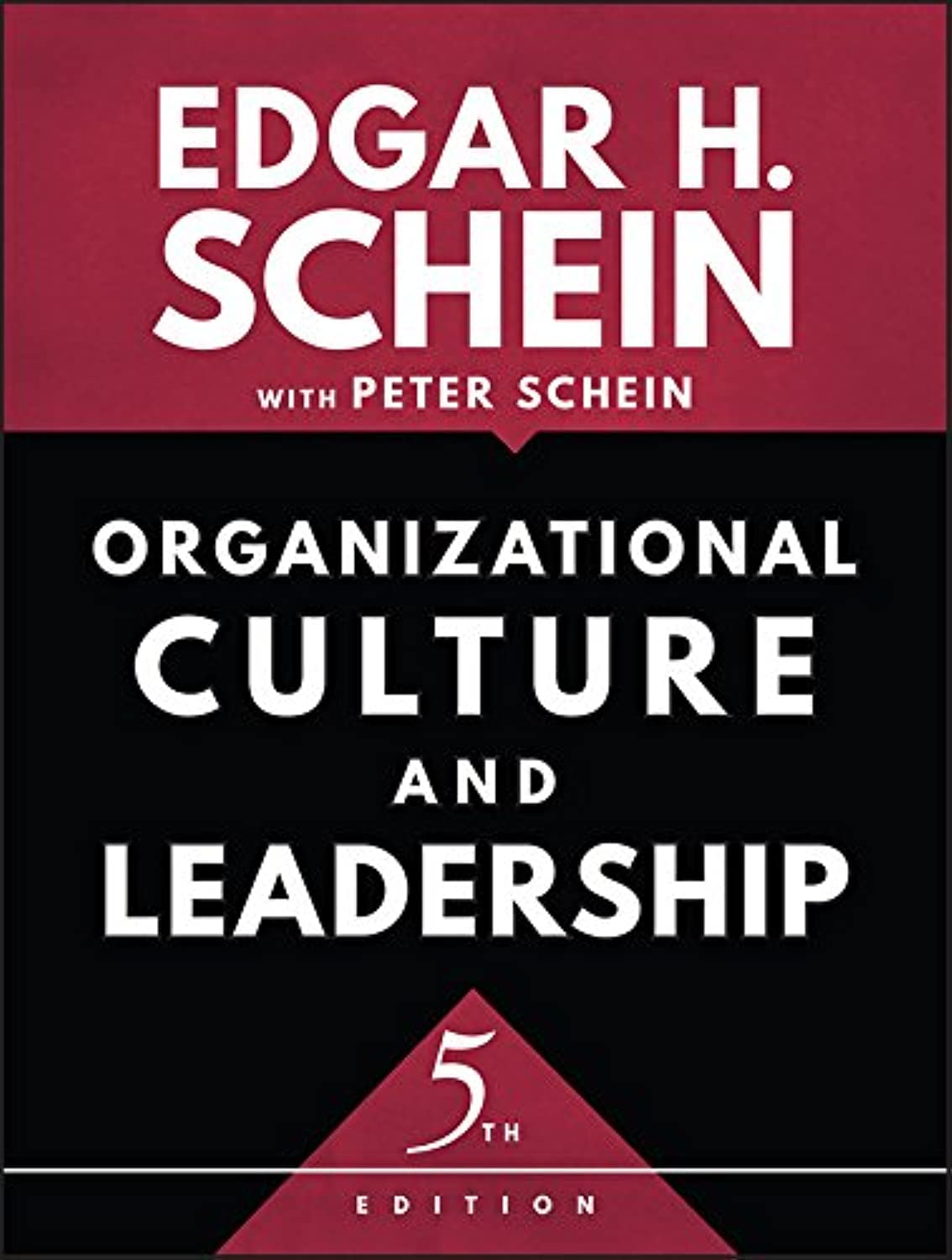 Organizational Culture and Leadership baixar livro de graça