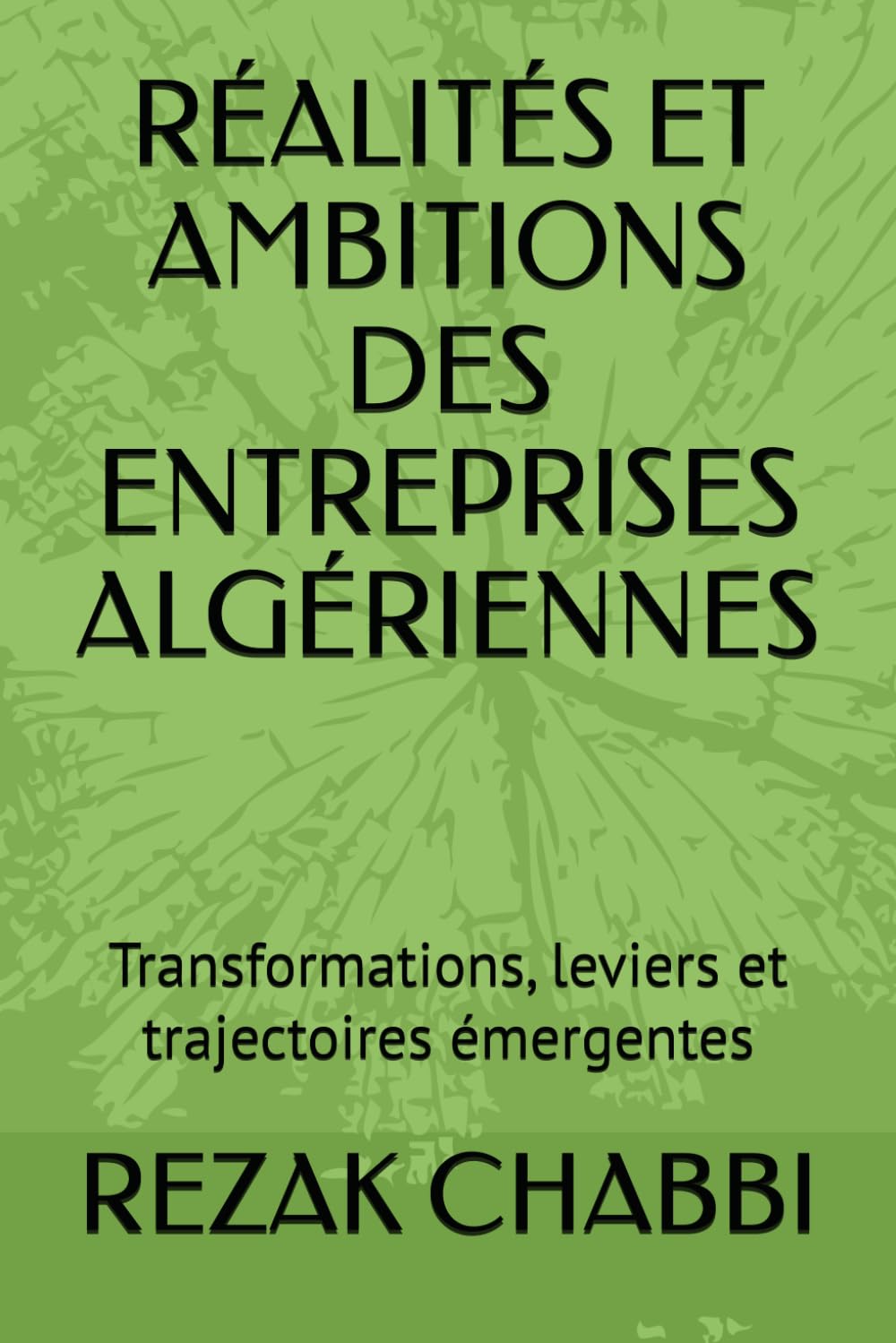 RÉALITÉS ET AMBITIONS DES ENTREPRISES ALGÉRIENNES: Transformations, leviers et trajectoires émergentes (French Edition) baixar o livro de graça