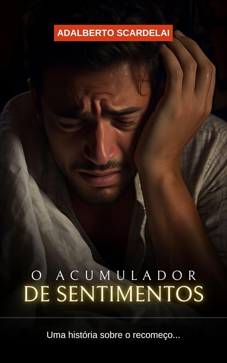 O Acumulador de Sentimentos: uma história sobre o recomeço... baixar o livro de graça