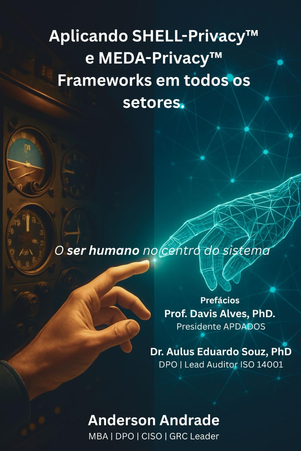 Aplicando SHELL-Privacy e MEDA-Privacy Frameworks em todos os setores: O ser humano no centro do sistema baixar livro de graça