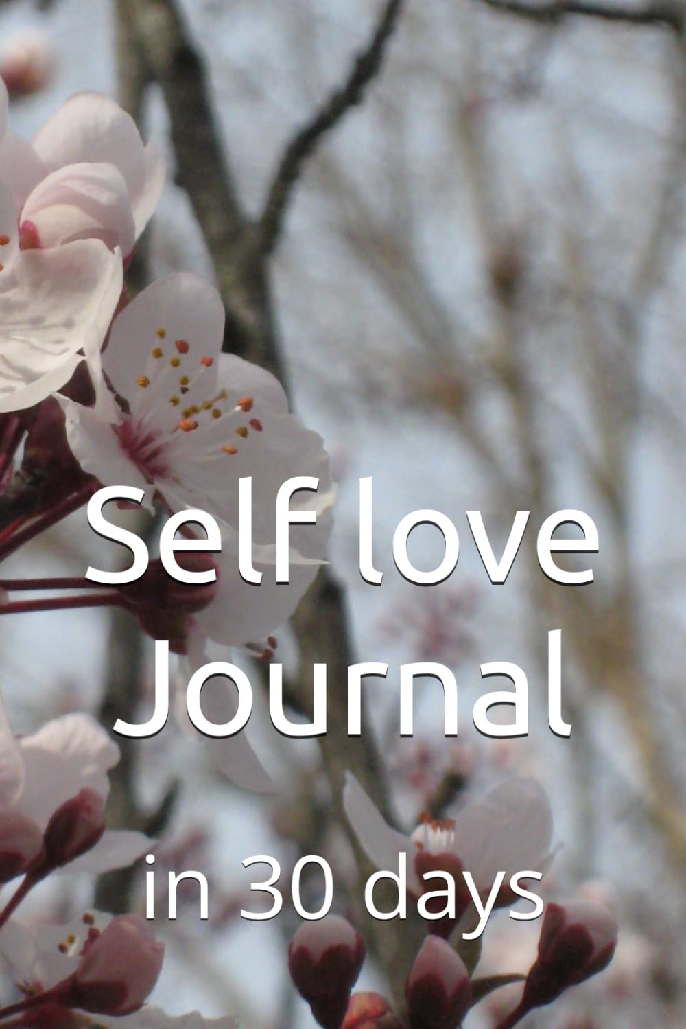 capítulo por capítulo baixar Self love Journal: in 30 days