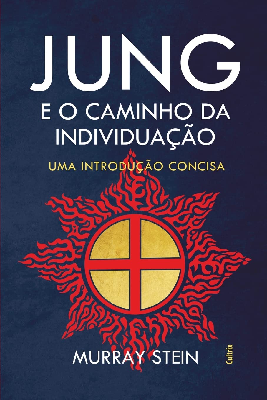 Jung e o caminho da individuação baixar livro de graça