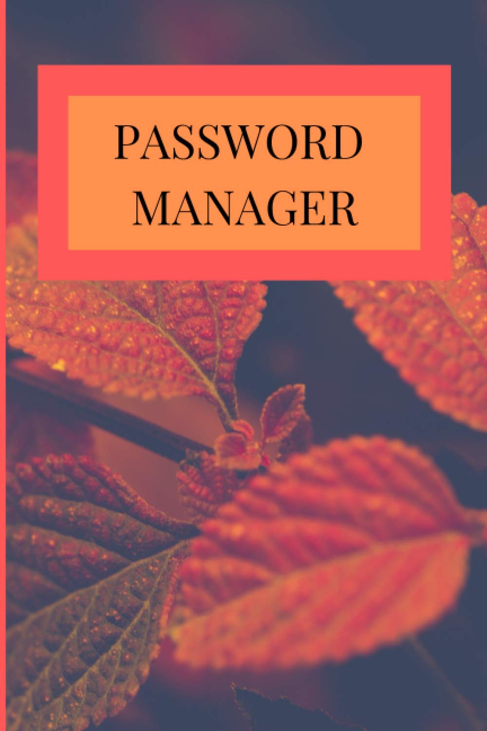 ler totalmente PASSWORD MANAGER: Internet Password Organizer: 6" x 9" Size Password Journal and Alphabetical Tabs | Password Logbook | Logbook To Protect Usernames