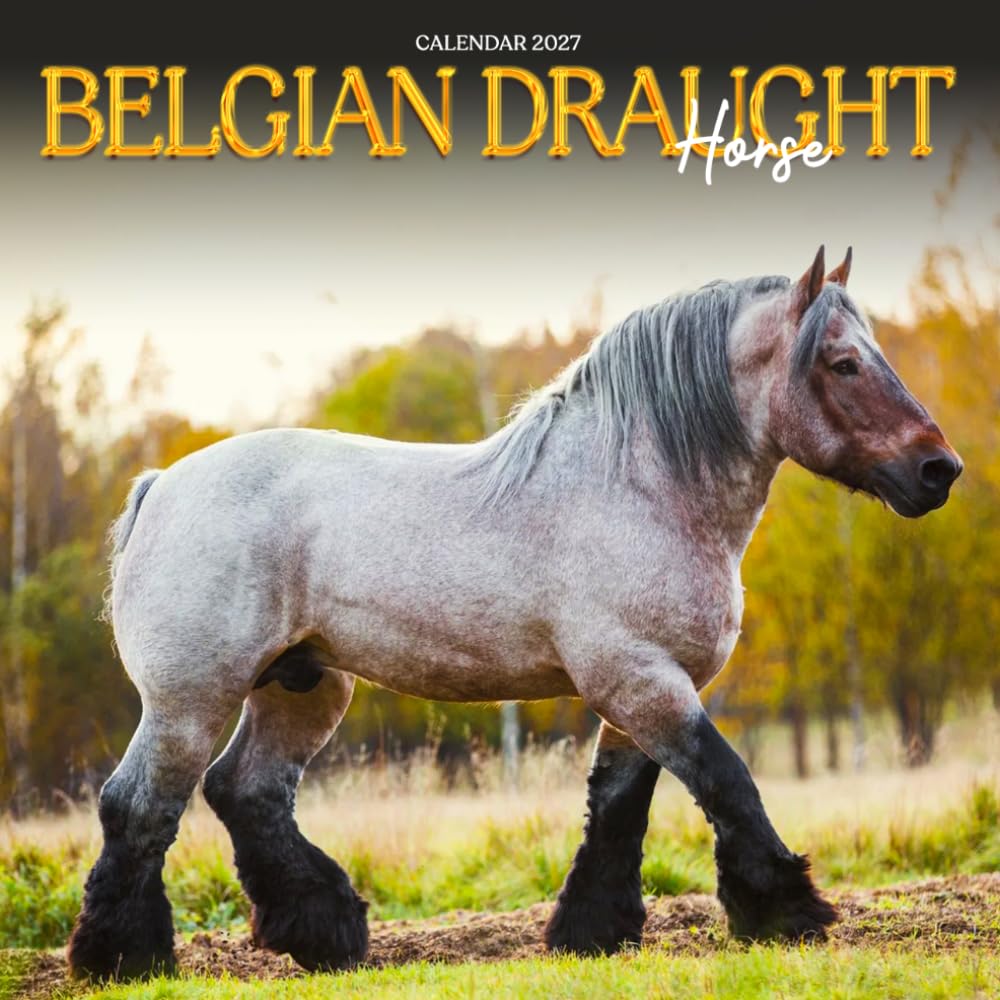 Belgian Draft Horse Calendar 2027: Draft Horse Portraits and Farm Scenes baixar livro de graça