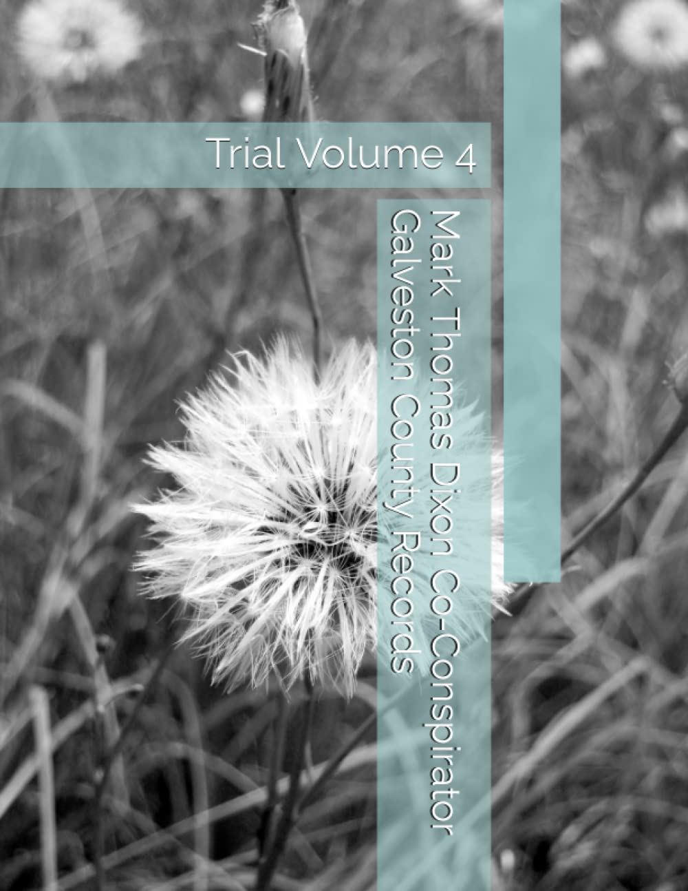 Mark Thomas Dixon Co-Conspirator Galveston County Records: Trial Volume 4 (Barbara Holder Trial Records) baixar livro de graça