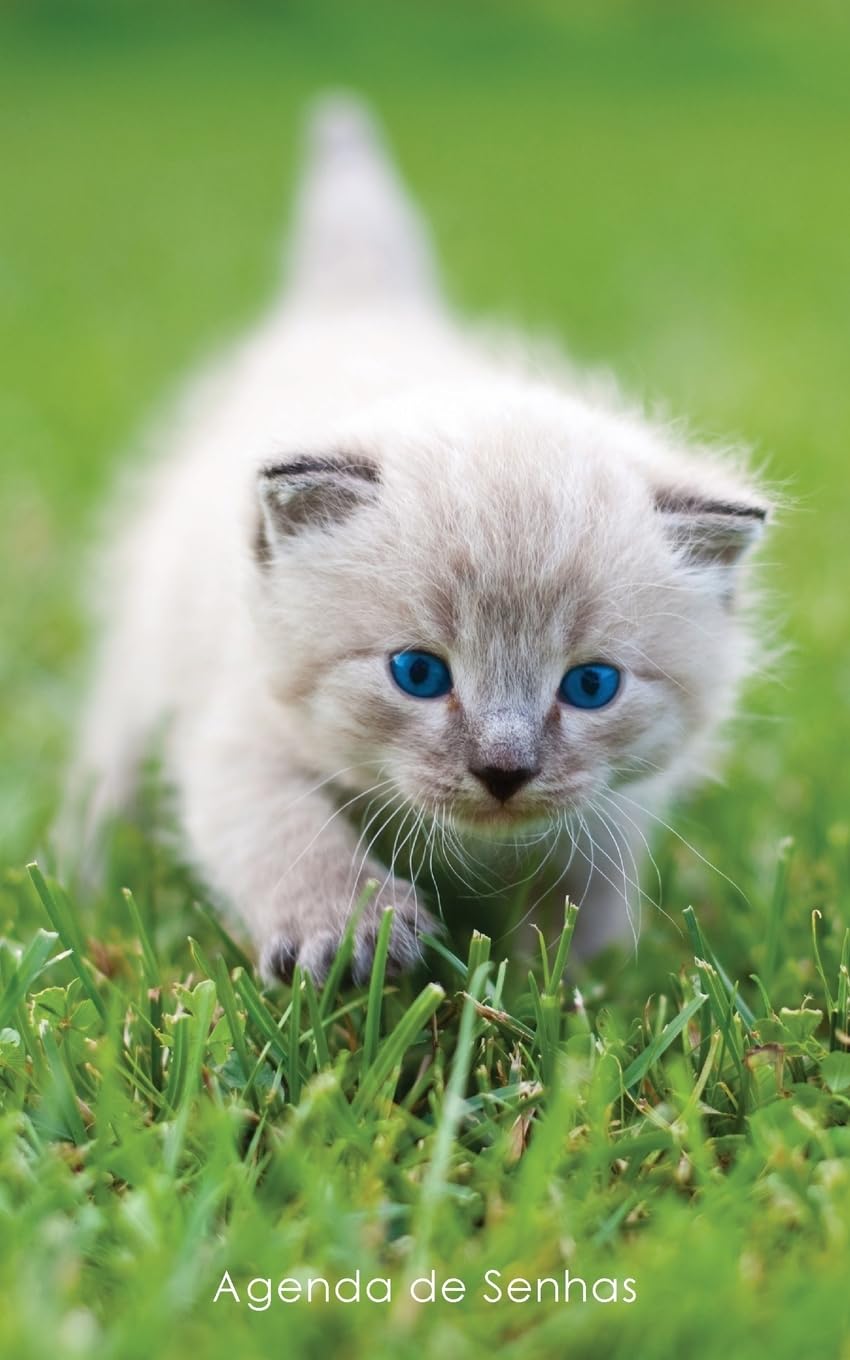 Agenda de Senhas: Agenda para endereços eletrônicos e senhas: Capa gatinho de olhos azuis - Português (Brasil): 12 baixar o livro de graça
