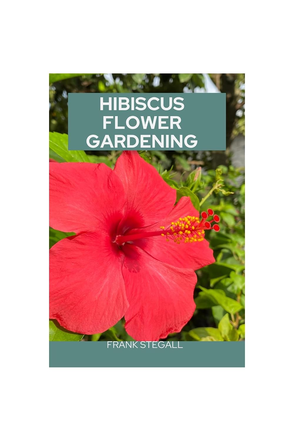 HIBISCUS FLOWER GARDENING: STEP BY STEP BEGINNERS GUIDE TO GROWING, CARING AND HARVESTING (English Edition) baixar livro de graça