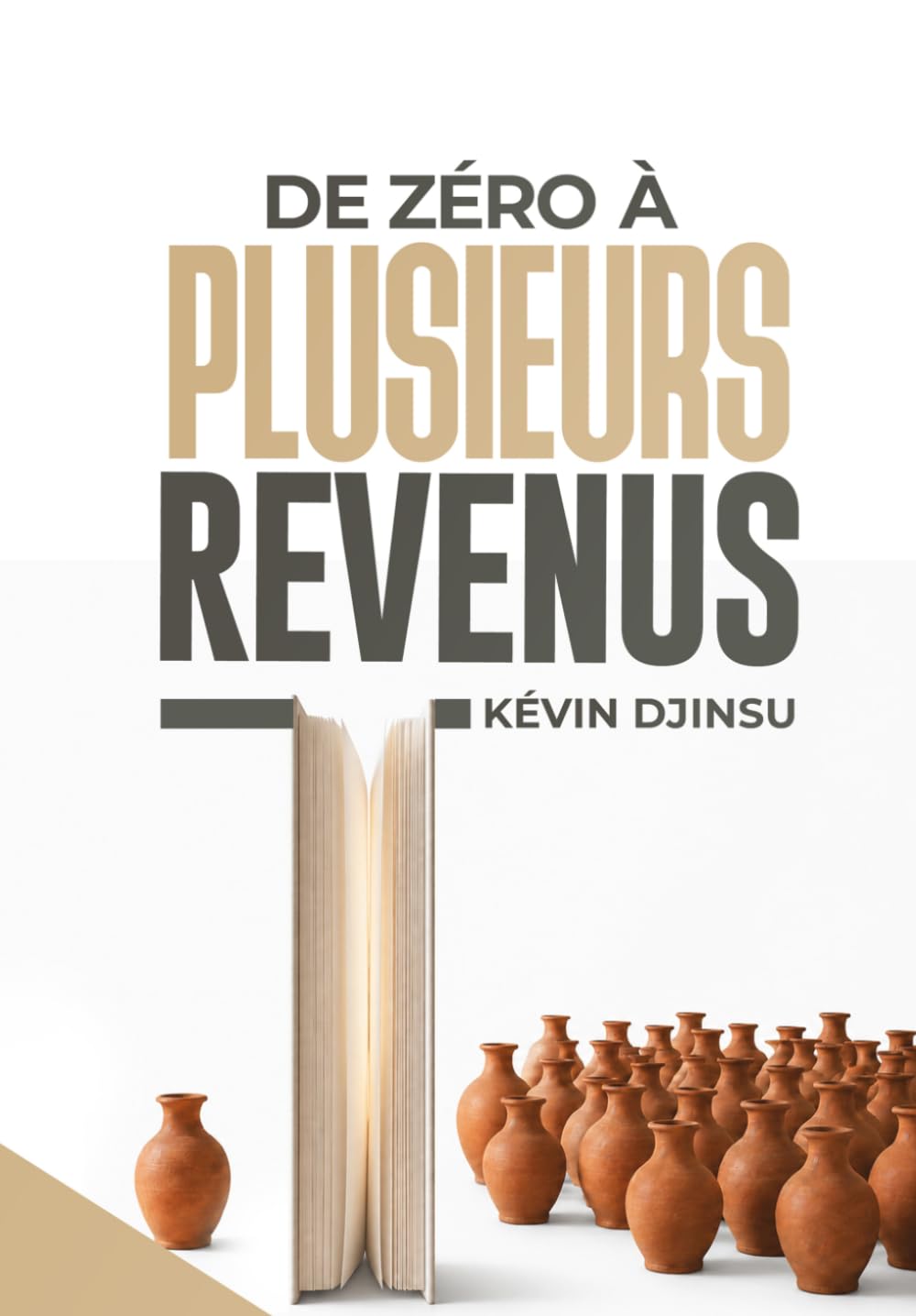 capítulo por capítulo baixar De zéro à plusieurs revenus: Stratégies et applications