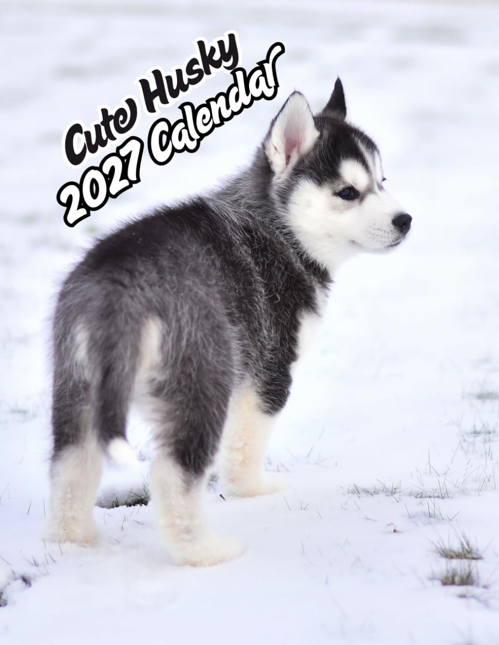 Cute Husky 2027 Calenda r: Beautiful Siberian Huskies All Year Long | 16-Month (September 2026 – December 2027) baixar livro de graça
