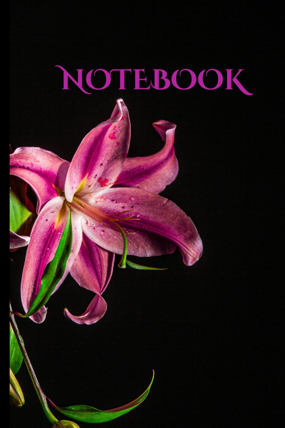 Midnight Lilies 6" x 9" Notebook 120 lined pages: Elegant Blossoms on a Black Canvas baixar livro de graça