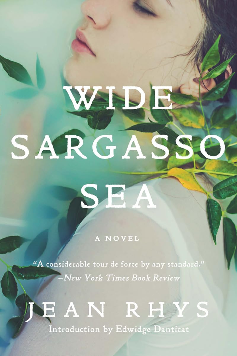 ler totalmente Wide Sargasso Sea