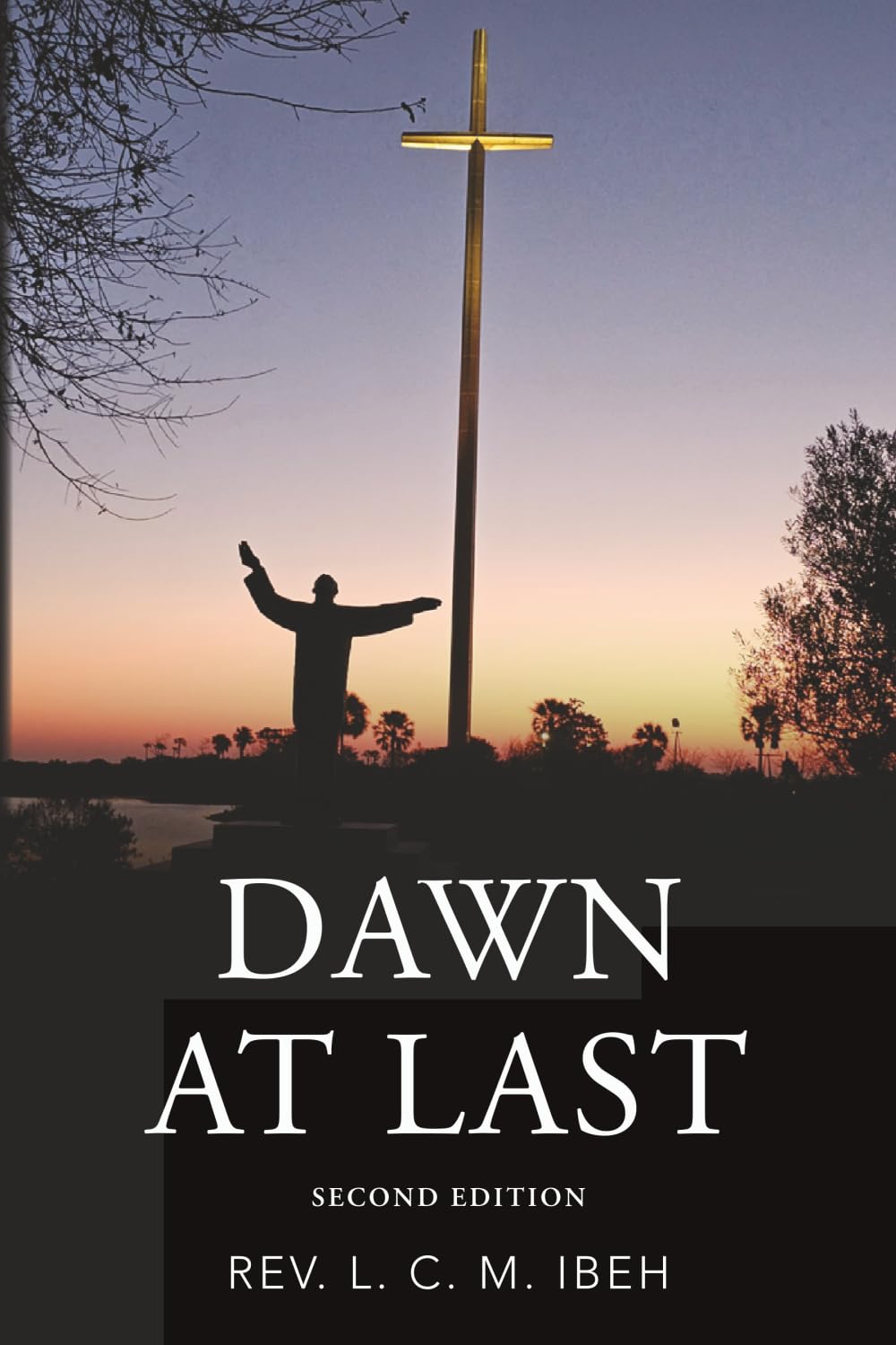 Dawn At Last baixar o livro de graça