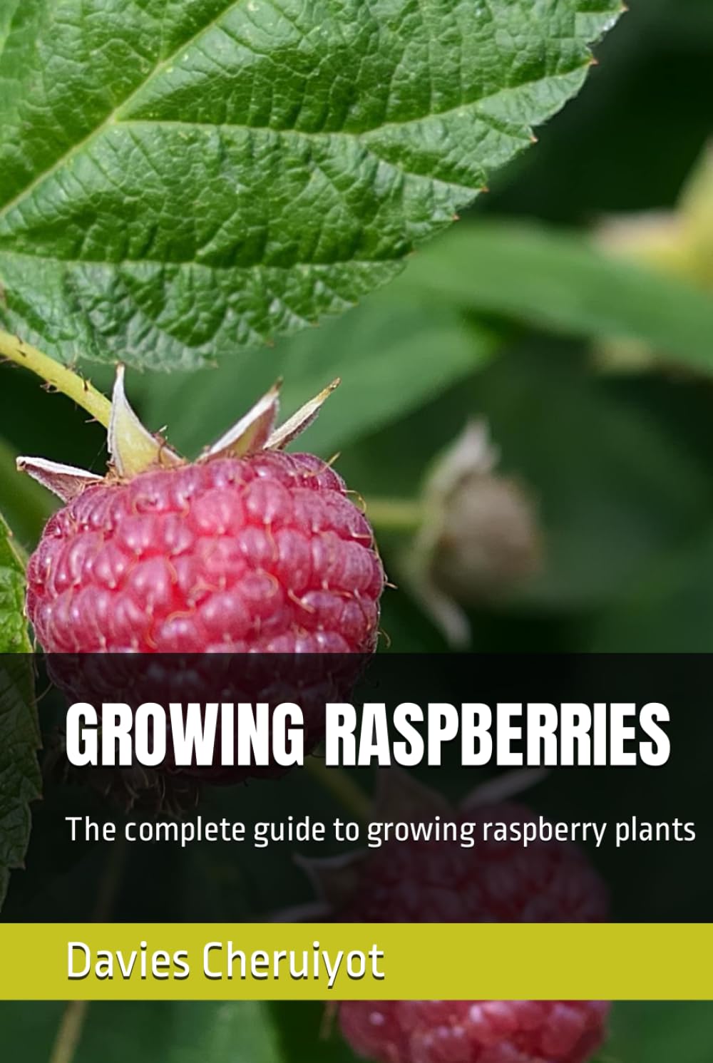 ler totalmente GROWING RASPBERRIES: The complete guide to growing raspberry plants